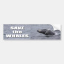 Search for sea animal bumper stickers Water