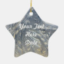 Search for silver star ornaments Winter