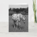 Search for dittos cards Horse