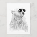 Search for bear with sunglasses postcards Cute