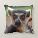 Search for lemur pillows Cute