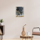 Recherche de corbeau photographie Animaux