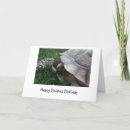 Recherche de tortue lente cartes postales Drôle