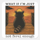 Search for feral stickers Raccoon