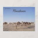 Recherche de mauritanie cartes postales Afrique