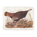 Recherche de thanksgiving cartes Action de grâce