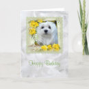Search for maltese birthday cards Cute dog