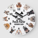 Search for pet grooming art Salon