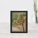 Search for tropical plants cards Flora