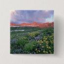 Search for provo accessories Usa