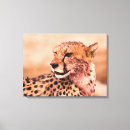 Search for jaguar canvas prints Nature