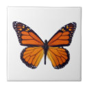 Recherche de papillon carreaux Orange