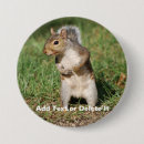 Search for gray squirrel buttons Rodents