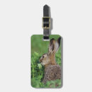 Search for rolf nussbaumer accessories Wildlife