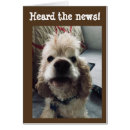 Search for cocker spaniel photography Veterinarian