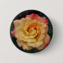 Search for yellow rose buttons Garden