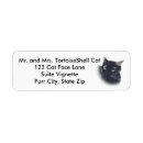 Search for tortoise labels Cat