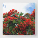 Recherche de arbre fleurissant Rouge