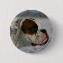 Recherche de chien boxeur badges Headshot