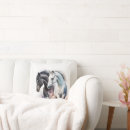 Recherche de étalon noir maison deco Équin