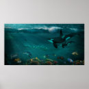 Search for underwater posters Fish
