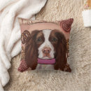 Search for english springer spaniel pillows Spaniels
