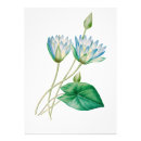 Search for lotus flower posters Antique