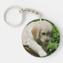 Search for stretching keychains Retriever golden