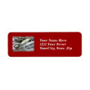 Search for saltwater return address labels Fishing