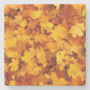 Search for maple leaf coasters Autumn