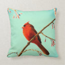 Recherche de cardinal photographie Branche