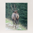 Recherche de elk puzzles Animal
