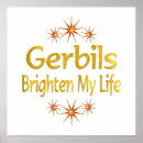 Search for gerbil posters Rodent