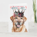 Search for yellow labrador birthday cards Pets
