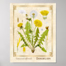 Search for etching art Botanical