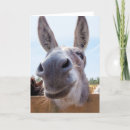 Recherche de républicain vœux cartes Démocrate