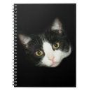 Search for cat notebooks Feline