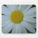 Search for chrysanthemums mousepads White