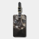 Search for tortie accessories Kitten