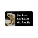 Search for alaska return address labels Wildlife