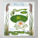 Recherche de copies encadrées posters Fleurs