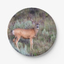 Recherche de mâle photographie Chasse