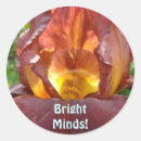 Search for magnetic stickers Flower