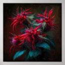 Search for bee balm posters Red flowers