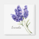 Recherche de fleurs de lavande magnets Jolie