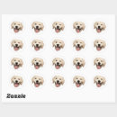 Search for schedule stickers Waterproof