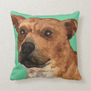 Search for staffordshire bull terrier pillows Staffie