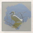 Recherche de habitat dessous de verres Photographie de la nature