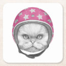 Recherche de persan dessous de verres Chaton