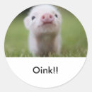 Search for piggies stickers Oink